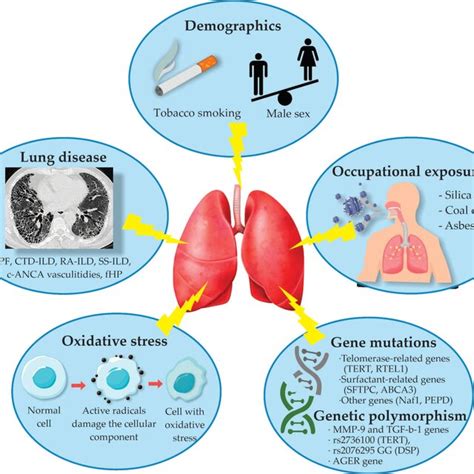 copf|Combined Pulmonary Fibrosis and Emphysema